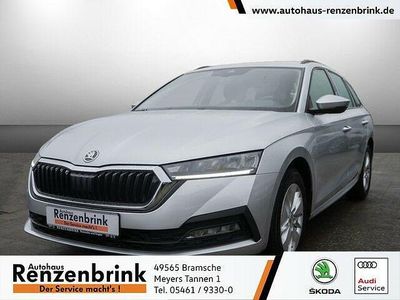 Gebraucht Skoda Octavia Ambition 116 PS (85 kW) 2021 Grau Kombi