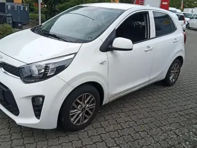 Brugt Kia Picanto Vision 67 HK (49 kW) 2023 Hvid Hatchback