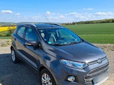 Usata Ford Ecosport Trend 125 CV (91 kW) 2015 Grigio SUV