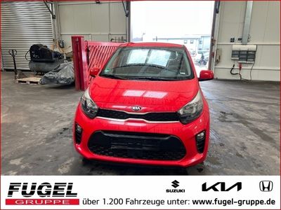 gebraucht Kia Picanto 1.2 Dream Team SHZ|Emotion