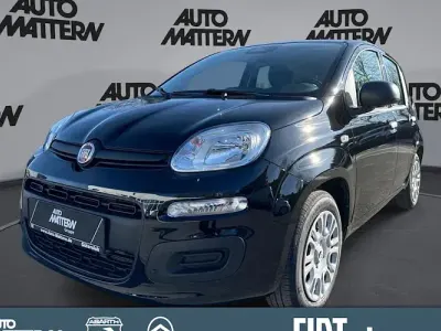 Neu Fiat Panda Cross Cross 65 PS (47 kW) 2026 Schwarz Kleinwagen