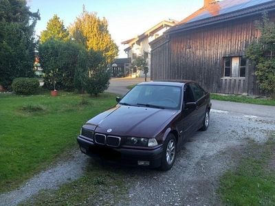 BMW 316