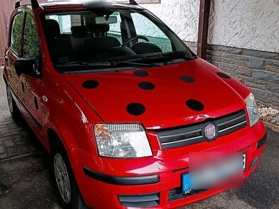 gebraucht Fiat Panda 1.2 8V Dynamic Automatik