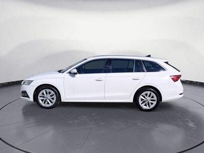 Gebraucht Skoda Octavia Style 116 PS (85 kW) 2023 Candyweiß Kombi
