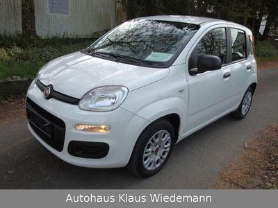 Gebraucht Fiat Panda Easy 69 PS (50 kW) 2017 Gelato  weiß Kleinwagen