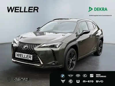 Gebraucht Lexus UX 250h 184 PS (135 kW) 2021 Gruen SUV