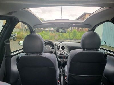 gebraucht Ford Ka Klima Fensterheber Panoramadach