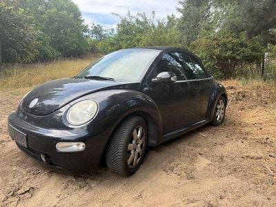 VW Beetle