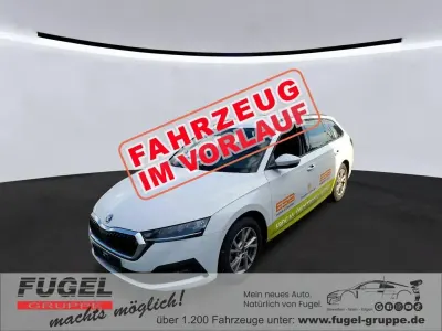 Gebraucht Skoda Octavia