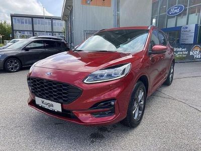 Rot Gebraucht 2024 Ford Kuga ST-Line X SUV | 32.989 € (Fairer Preis)