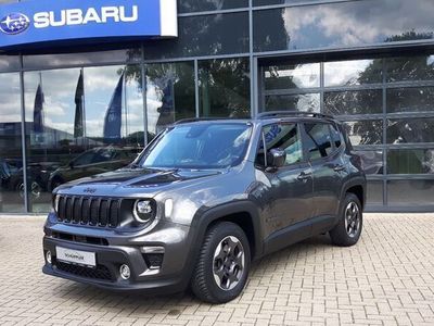 Grau granite crystal met. clear coat metallic Gebraucht 2019 Jeep Renegade Limited SUV | 19.690 € (Etwas zu teuer)