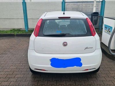 gebraucht Fiat Punto 