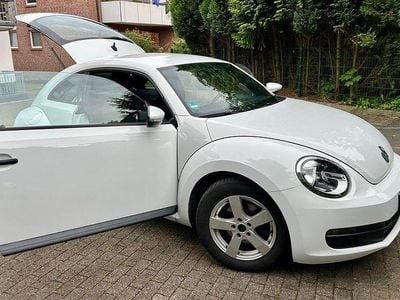 VW Beetle