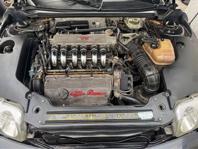 Alfa Romeo Spider