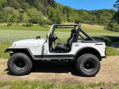 Gebraucht Jeep Wrangler 180 PS (132 kW) 1990 Weiß SUV