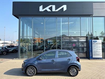 Neu Kia Picanto Vision 68 PS (50 kW) 2026 Blau Kleinwagen