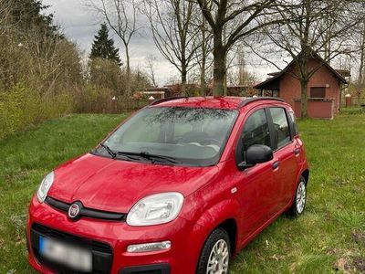 gebraucht Fiat Panda 1.2 Klima, Carplay, Gepflegt