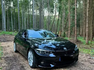 Gebraucht BMW 420 Advantage 184 PS (135 kW) 2018 Schwarz Coupé