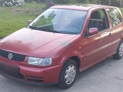 gebraucht VW Polo 