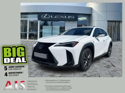 Gebraucht Lexus UX 300h Sport Design Packet 199 PS (146 kW) 2024 F white SUV