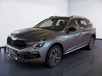 Gebraucht Skoda Kamiq Tour 116 PS (85 kW) 2025 Grau SUV