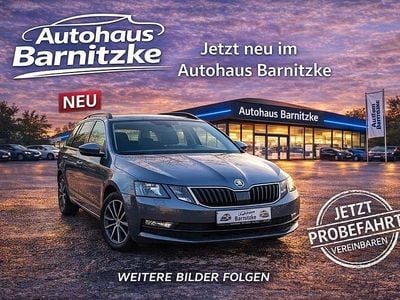 Gebraucht Skoda Octavia Soleil 116 PS (85 kW) 2019 Grau Kombi