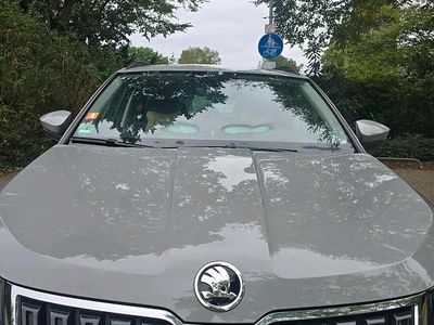 Gebraucht Skoda Karoq 120 PS (88 kW) 2022 Grau SUV