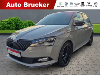 Gebraucht Skoda Fabia Monte Carlo 95 PS (69 kW) 2019 Grau Kleinwagen