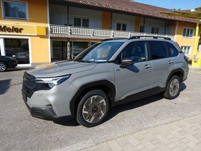 Neu Subaru Forester Active 136 PS (100 kW) 2025 Grau SUV