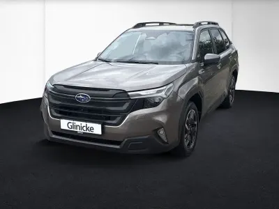 Gebraucht Subaru Forester