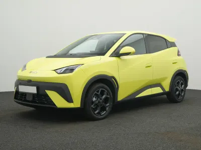 Gebraucht BYD Dolphin Surf