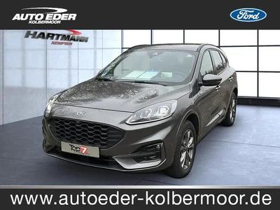 Usata Ford Kuga ST-Line 224 CV (164 kW) 2023 Grigio SUV