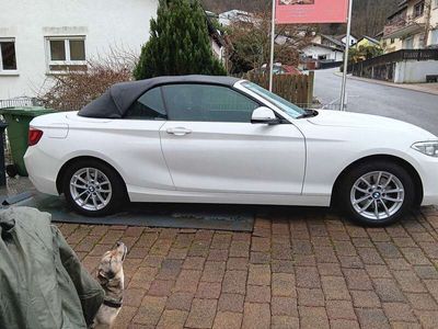 gebraucht BMW 220 220 d Cabrio Aut.