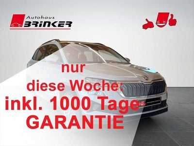 Gebraucht Skoda Karoq Tour 150 PS (110 kW) 2022 Steelgrau SUV