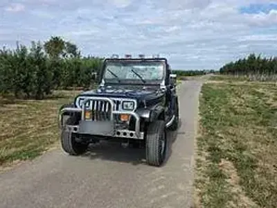 Gebraucht Jeep Wrangler 178 PS (130 kW) 1991 Schwarz SUV