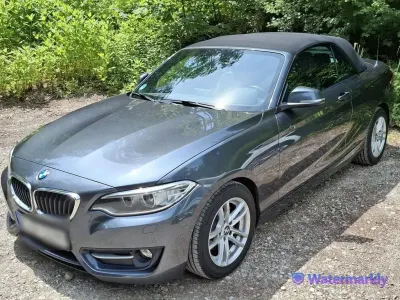 Gebraucht BMW 220 184 PS (135 kW) 2015 Grau Cabrio