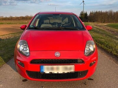 gebraucht Fiat Punto 