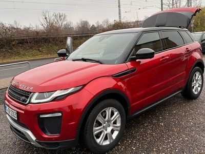 gebraucht Land Rover Range Rover evoque TD4 Aut. SE Dynamic