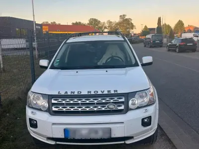 Usata Land Rover Freelander 2 150 CV (110 kW) 2011 Bianco SUV