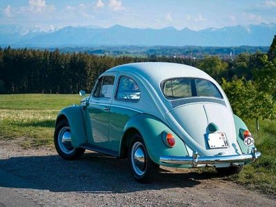 Gebraucht VW Käfer 46 PS (33 kW) 1963 Weiß Limousine