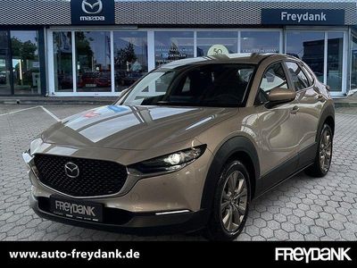 Neu Mazda CX-30 Center-Line 140 PS (102 kW) 2025 SUV