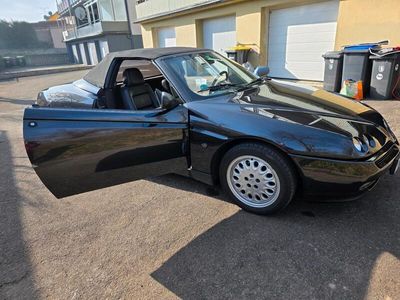 Alfa Romeo Spider
