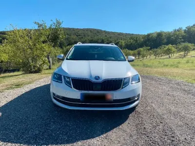 Gebraucht Skoda Octavia 116 PS (85 kW) 2019 Weiß Kombi