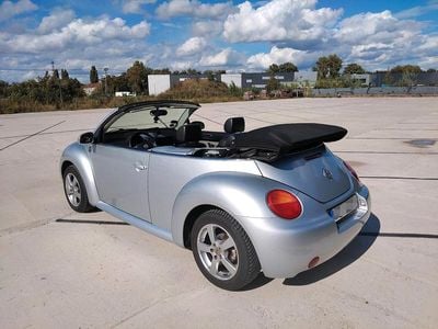 VW Beetle