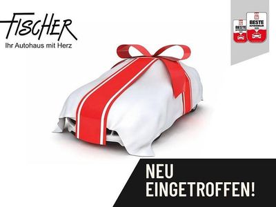 Gebraucht Dacia Duster Journey 131 PS (96 kW) 2023 Grau SUV