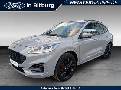 Fancygrau Gebraucht 2024 Ford Kuga ST-Line X SUV | 31.900 € (Fairer Preis)