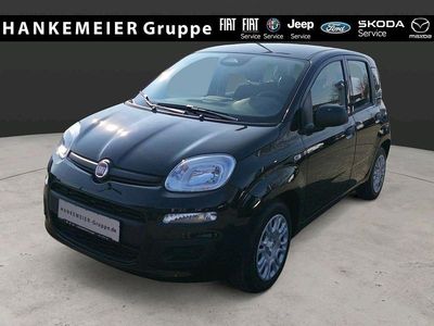 Neu Fiat Panda Icon 65 PS (47 kW) 2026 Schwarz Kleinwagen
