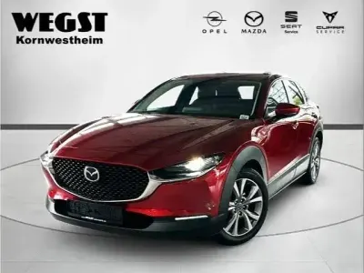 Gebraucht Mazda CX-30 Selection 122 PS (89 kW) 2019 Rot SUV