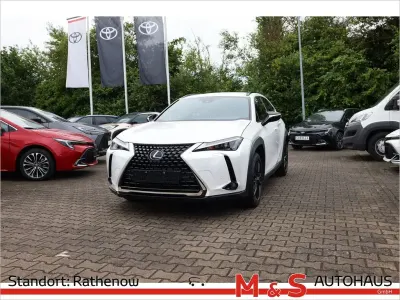 Gebraucht Lexus UX