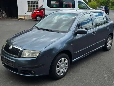 Używany Skoda Fabia Ambiente 101 KM (74 kW) 2006 Szary Hatchback